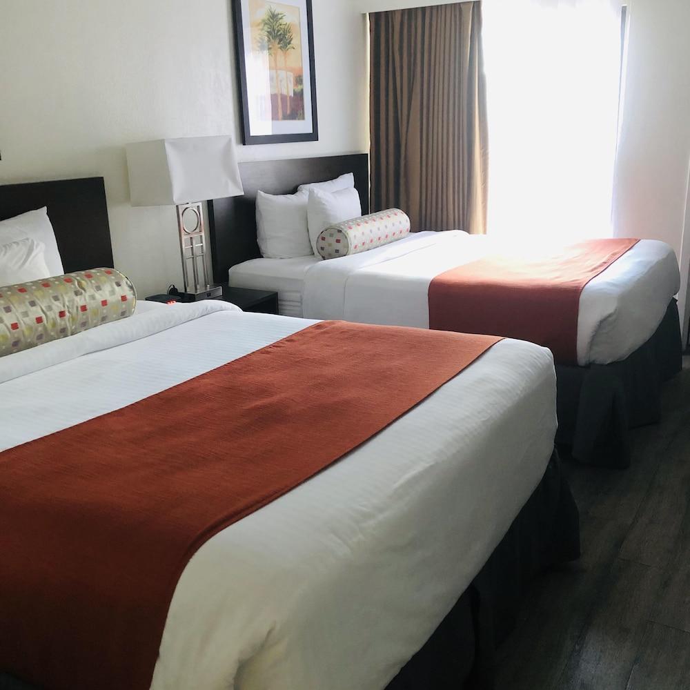 Baymont By Wyndham Tampa Near Busch Gardens Hotel Bagian luar foto
