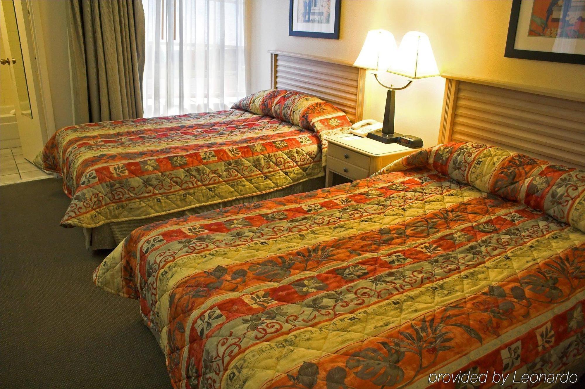 Baymont By Wyndham Tampa Near Busch Gardens Hotel Ruang foto