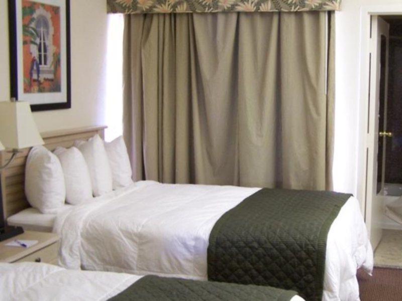 Baymont By Wyndham Tampa Near Busch Gardens Hotel Bagian luar foto