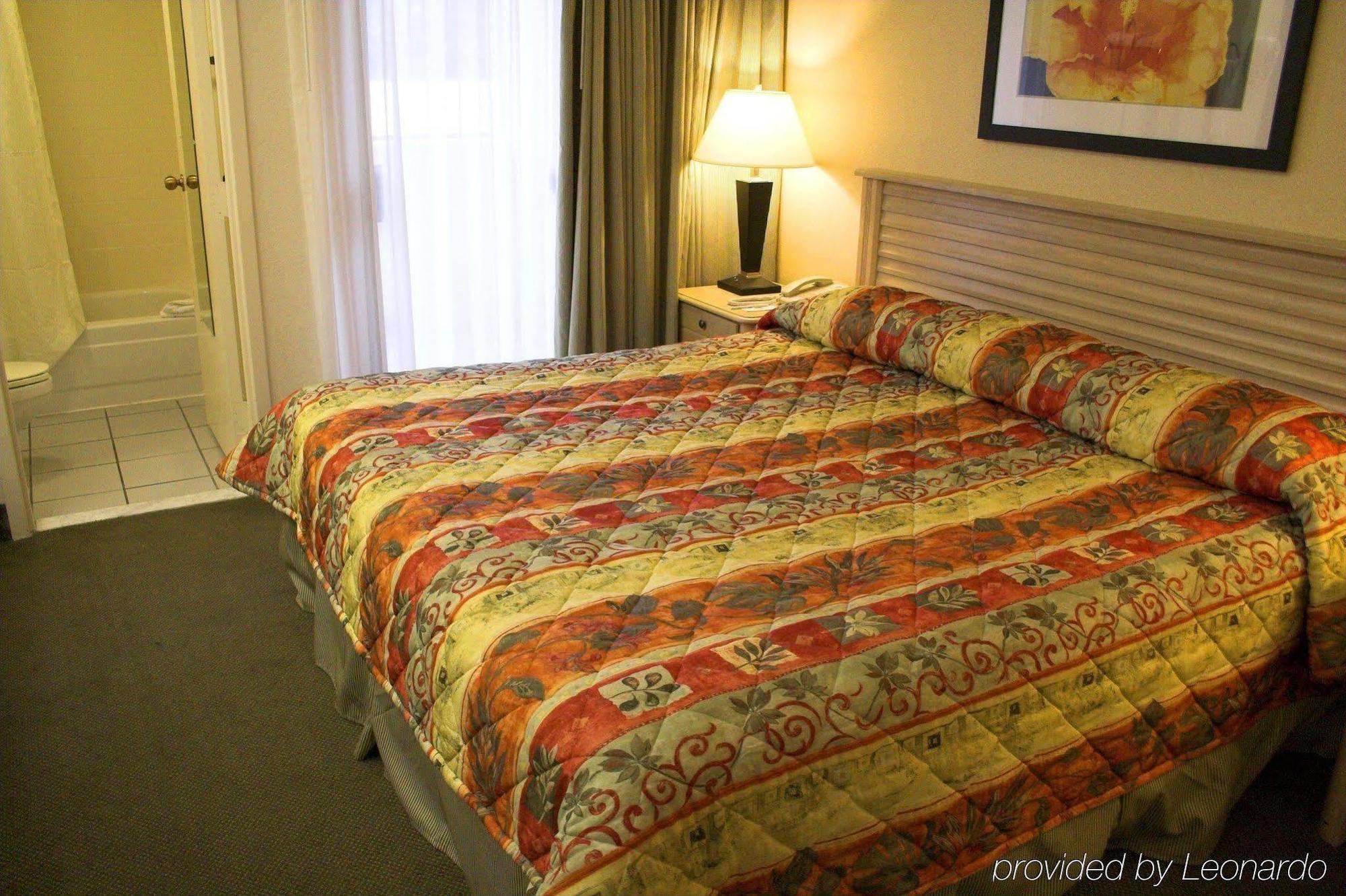 Baymont By Wyndham Tampa Near Busch Gardens Hotel Ruang foto