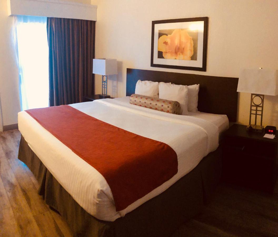 Baymont By Wyndham Tampa Near Busch Gardens Hotel Bagian luar foto